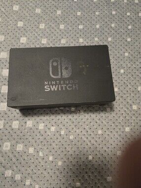 Nintendo Switch Charger